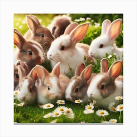 Cute Rabbits On The Grass Canvas Print