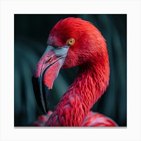 Flamingo 39 Canvas Print