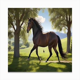 Horse Takes Center Stage 2 Canvas Print