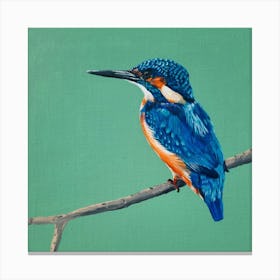 Kingfisher SB Canvas Print