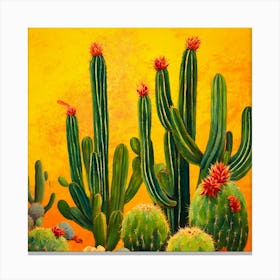 Cactus Garden Canvas Print