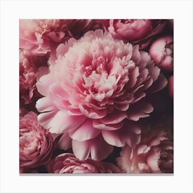 Large pink Peony flower 2 Canvas Print