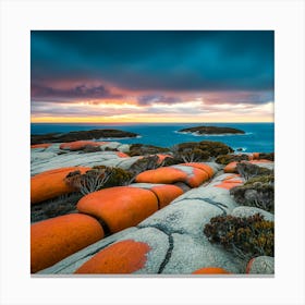 Bay of Fires, Tasmania  Canvas Print