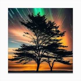 Aurora Canvas Print