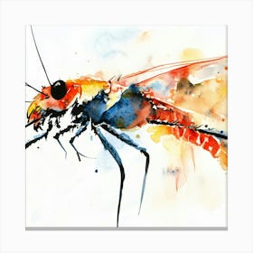 Aphid Watercolor Illustration Canvas Print