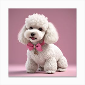 Poodle Canvas Print