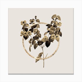 Gold Ring Platilobium Glitter Botanical Illustration Canvas Print