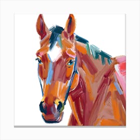 Quarter Horse 01 Canvas Print