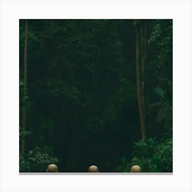 Monks In The Forest 3 Canvas Print