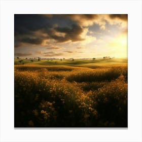 Sunset In A Field Canvas Print