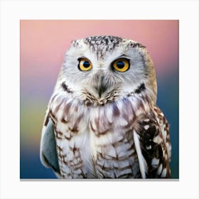 Firefly Owl, Soft, Peaceful, Smile, White, Wings, Down, Black, Big Eyes, Perched, Twig, Bokeh, Pink, (2) Canvas Print