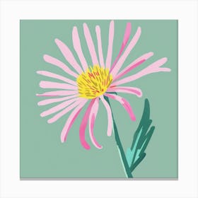 Asters 3 Square Flower Illustration Canvas Print