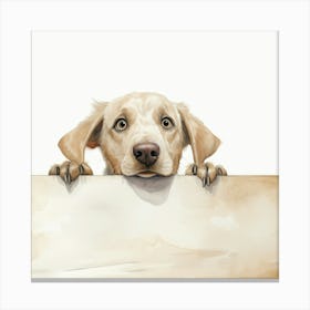 Retriever Labradorr Canvas Print