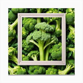 Green Broccoli In A Frame 1 Canvas Print