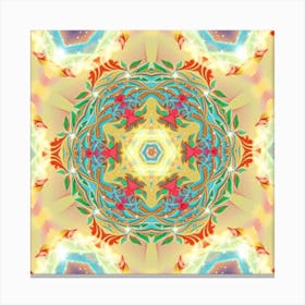 Mandala 42 Canvas Print