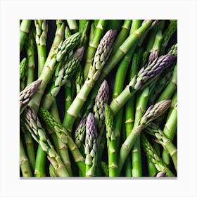 Asparagus Close Up Canvas Print