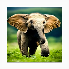 Baby Elephant Canvas Print