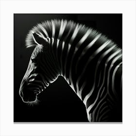 Portrait Of A Zebra Canvas Print
