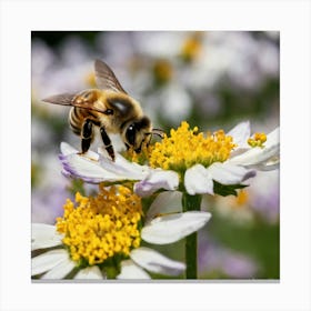 Bee On Daisy 1 Canvas Print