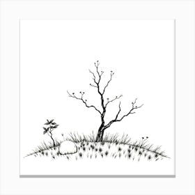 Bare Tree In The Grass Canvas Print