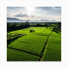 Grow Plant Green Background Field Aerial Landscape Pattern Agriculture Grass Harvesting C (1) Canvas Print