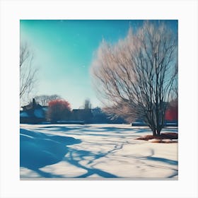 Long Shadows across a Sunlit Winter Landscape Canvas Print