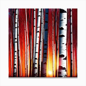 Sunset Birch Trees 2 Canvas Print