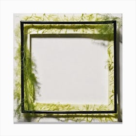 Frame With Dandelion 1 Canvas Print