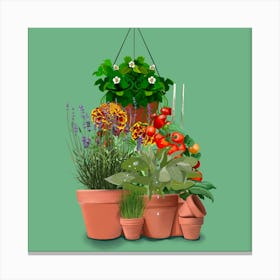 Garden Hanging Pots Canvas Print