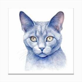 Belarusian Blue Cat Portrait 1 Canvas Print