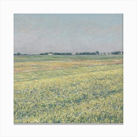 Canola Field Canvas Print