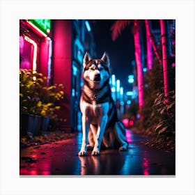 Husky Dog At Night Canvas Print