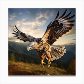 Hawk In Flight Canvas Print