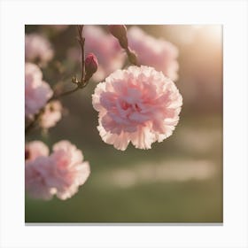 A Blooming Carnation Blossom Tree With Petals Gently Falling In The Breeze 3 Canvas Print