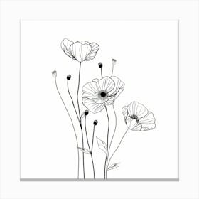 Poppies 60 Canvas Print