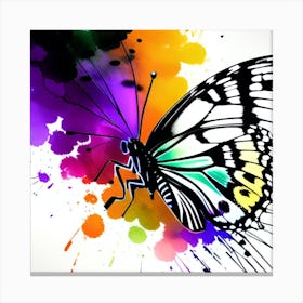 Butterfly - Butterfly Stock Videos & Royalty-Free Footage 1 Canvas Print