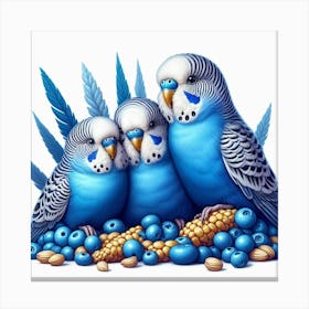 Budgerigars Canvas Print