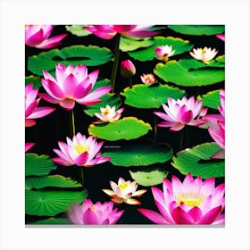 Lotus Flower 14 Canvas Print