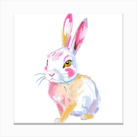 Rex Rabbit 02 Canvas Print