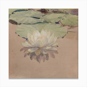 Water Lilies 1 Canvas Print