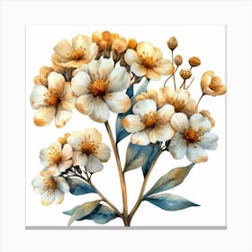 White Flowers On A Branch Canvas Print