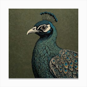 Peacock 7 Canvas Print