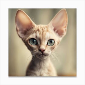 Sphynx Cat Canvas Print