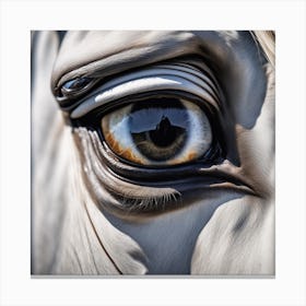 Eye Of A Horse 24 Canvas Print