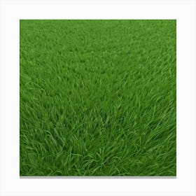 Green Grass 8 Canvas Print