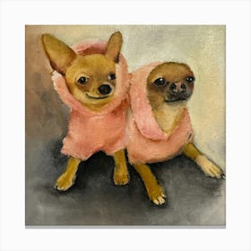 Chihuahuas Canvas Print