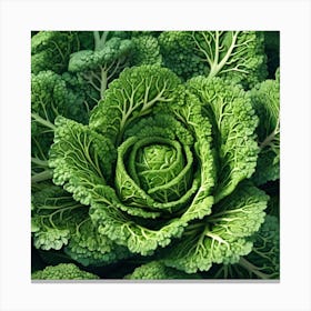 Frame Created From Savoy Cabbage Sprouts On Edges And Nothing In Middle Ultra Hd Realistic Vivid (6) Canvas Print