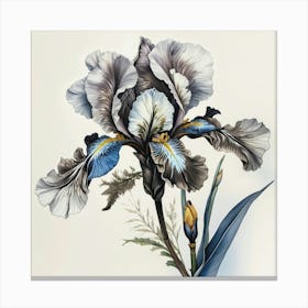 Flower Blossom Bloom Canvas Print