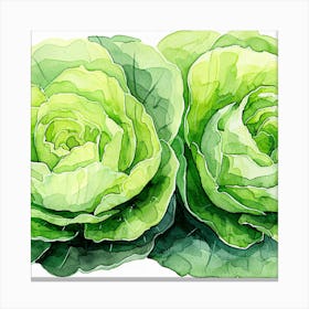 Cabbage Watercolor Painting Canvas Print