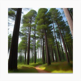 Pine Forest Canvas Print